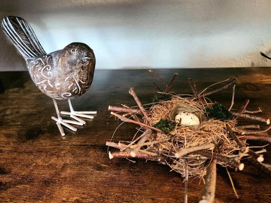 The Nest Downtown Dunedin No Kids, No Pets エクステリア 写真